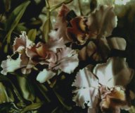 orchid1 copy.jpg 